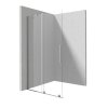 Deante Prizma Kabina prysznicowa walk-in 100x195 cm profile stal szczotkowana szkło transparentne KTJ_F30R