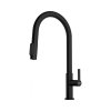 Franke Maris Slim Clear Water J pull-out Bateria kuchenna wysoka z wyciąganą wylewką i funkcją filtrowania wody czarna 120.0730.911