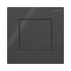 Geberit Typ 01 Przycisk do pisuaru czarny RAL 9005 116.064.DW.1