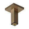 Hansgrohe Ramię deszczownicy sufitowe 10 cm brąz szczotkowany 24338140