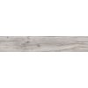 Peronda Foresta Mumble-G/A Gres Płytka podłogowa 15,3x91 cm, szara 18469