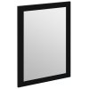 Sapho Treos Lustro 75x50 cm czarny mat TS750-3535