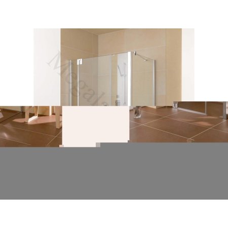 Kermi Pasa XP Drzwi wahadłowe 1-skrzydłowe z polami stałymi - profil srebrny mat 140 cm PX1GR/L140SM