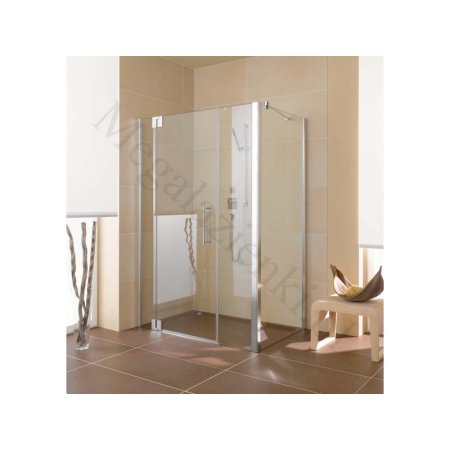 Kermi Pasa XP Drzwi wahadłowe 1-skrzydłowe z polami stałymi - profil srebrny mat 120 cm PX1GR/L120SM