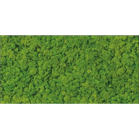 Cersanit Fresh Moss Glass Inserto Płytka ścienna 29x59 cm, zielona OD570-006