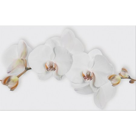Cersanit Marisol White Inserto Flower Płytka ścienna 25x40 cm, biała WD956-008