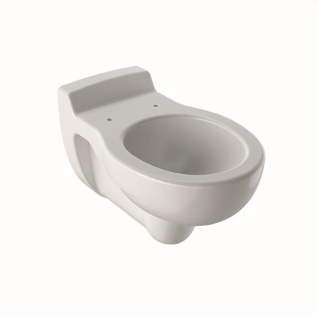 Geberit Bambini Toaleta WC podwieszana 53,5x33,7 cm dziecięca, biała 201700000