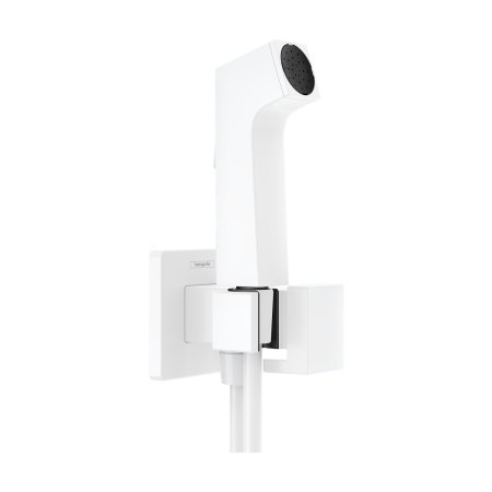 Hansgrohe Zaw&oacute;r Bidette 1 jet E EcoSmart dla wody zimnej z uchwytem i wężem prysznicowym 125 cm biały mat 29231700