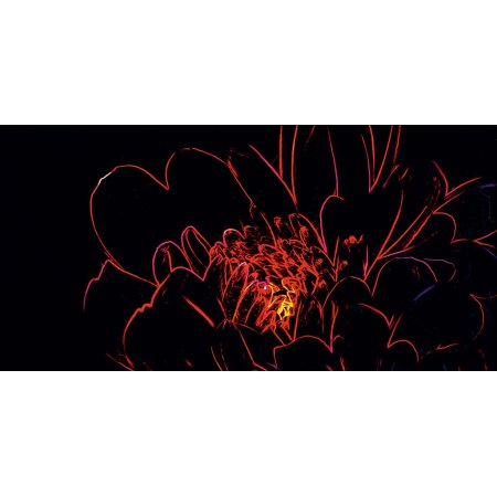 Opoczno Fluorescent Flower Red Inserto Listwa dekoracyjna szklana 29,7x60x0,9 cm, czarna, czerwona błyszcząca OD386-002