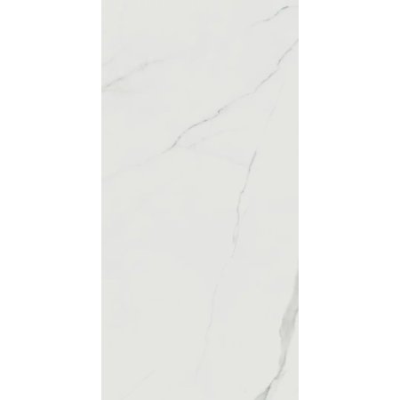 Paradyż Calacatta Płytka gresowa podłogowa 120x60 cm biały mat