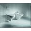 Laufen Pro Deska WC antybakteryjna, biała H8919503000001 - zdjęcie 2