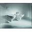 Laufen Pro Deska WC antybakteryjna, biała H8929510000001 - zdjęcie 2