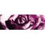 Ceramstic Bohemian Colore Romance Dekoracja szklana 30x10 cm, dekor kwiaty DK-42B - zdjęcie 1