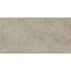 Cersanit Memories Grey Płytka ścienna/podłogowa 29,7x59,8 cm, szara NT021-002-1 - zdjęcie 1