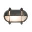 Davey Lighting Bulkhead Kinkiet 17,5x24,5 cm IP54 Standard E27 GLS mosiężny DP7435/BR/WE - zdjęcie 1