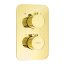 Deante Box Bateria wannowo-prysznicowa termostatyczna podtynkowa złota BXYZEBT - zdjęcie 1