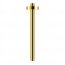 Deante Cascada Gold Ramię prysznicowe 25 cm złote NACZ42K - zdjęcie 1