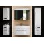 Defra Olex D100 Szafka podumywalkowa 99,2x45,6x47,5 cm biały połysk 024-D-10002 - zdjęcie 2