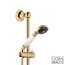 Dornbracht for Villeroy & Boch Madison Zestaw prysznicowy mosiężny 26403360-09 - zdjęcie 1
