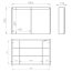 Elita Special 100 2D Technobox Szafka łazienkowa z lustrem 100,6x15,2x70 cm z oświetleniem LED 168926/RE068926000010 - zdjęcie 2
