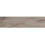Ergon Woodtalk Grey Pepper Gres Płytka podłogowa 22,5x90 cm, szara EWGPGPP22X90S - zdjęcie 1