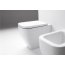 Flaminia Terra Muszla klozetowa miska WC stojąca 53x36x42 cm, biała TR117 - zdjęcie 2