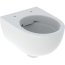 Geberit Duofix Basic Zestaw Stelaż podtynkowy do WC H112 cm + toaleta WC Selnova Compact bezkołnierzowa z deską sedesową wolnoopadającą białą + mata wygłuszająca 118.347.00.2 - zdjęcie 2