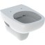 Geberit Fantasia Toaleta WC bez kołnierza biały połysk 500.908.00.1 - zdjęcie 1