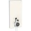 Geberit Monolith Moduł sanitarny do WC stojącej 101x48 cm szkło szare piaskowe/aluminium 131.002.JL.5 - zdjęcie 1