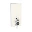 Geberit Monolith Plus Moduł sanitarny do WC stojącej 101x48 cm szkło w kolorze szarym piaskowym/aluminium 131.203.JL.7 - zdjęcie 1