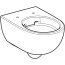 Geberit Selnova Toaleta WC Rimfree bez kołnierza biała 502.035.00.1 - zdjęcie 2