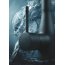 Grohe Essence Bateria umywalkowa bez korka phantom black 24177KF1 - zdjęcie 6