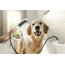 Hansgrohe DogShower Słuchawka prysznicowa dla psów czarny mat 26640670 - zdjęcie 2