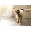 Hansgrohe DogShower Słuchawka prysznicowa dla psów czarny mat 26640670 - zdjęcie 4