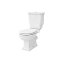Hidra Ellade Toaleta WC stojąca kompaktowa bez kołnierza biała D13R.001 - zdjęcie 1
