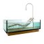 Hoesch Water Lounge Wanna prostokątna 200x120 cm z leżanką, szklana/drewniana 3704 - zdjęcie 1