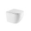Omnires Ottawa Comfort toaleta WC bez kołnierza 54x37 cm + deska wolnoopadająca biały mat OTTAWACMWBM - zdjęcie 1