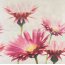 Opoczno Creamy Touch Cream Composition Flower Listwa dekoracyjna 58x59,3x0,9 cm, kremowa matowa OD635-014 - zdjęcie 1