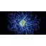 Opoczno Fluorescent Flower Blue Inserto Listwa dekoracyjna szklana 29,7x60x0,9 cm, czarna, niebieska błyszcząca OD386-004 - zdjęcie 1