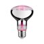 Paulmann Plant Żarówka LED prowzrostowa 28733 - zdjęcie 1