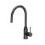 Quadron Audrey Pull out Bateria kuchenna wysoka z wyciąganą wylewką grafitowa BW6020PVDBST1 - zdjęcie 1