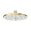 Roca Rainsense Deszczownica 23 cm PVD brushed gold z powłoką Everlux A5B1803VA0 - zdjęcie 1