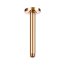 Roca Ramię deszczownicy sufitowe 20 cm PVD rose gold z powłoką Everlux A5B0550RG0 - zdjęcie 1