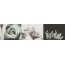 Tubądzin Maxima Black&White Maxima black 2 Listwa ścienna 44,8x10x0,8 cm, czarna połysk TUBLSMAXBLAWHIMAXBLA24481008 - zdjęcie 1