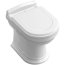 Villeroy & Boch Hommage Toaleta WC stojąca 37x56,5 cm, lejowa, z powłoką CeramicPlus, biała Weiss Alpin 666310R1 - zdjęcie 1