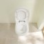 Villeroy & Boch ViCareUNIVERSAL Toaleta WC DirectFlush bez kołnierza + uchwyty Function biała Weiss Alpin 46018201 - zdjęcie 6